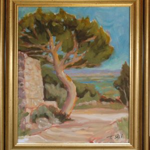 Grand pin et la Durance