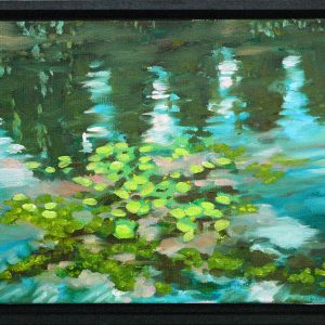Nymphéas dans la Marne