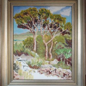 Pins au dessus de la Durance